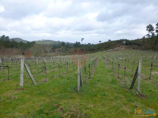 Terreno venda em Monção, Viana Do Castelo