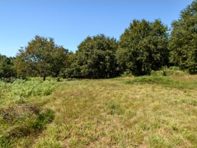 Terreno venda em Arga De Baixo, Viana Do Castelo