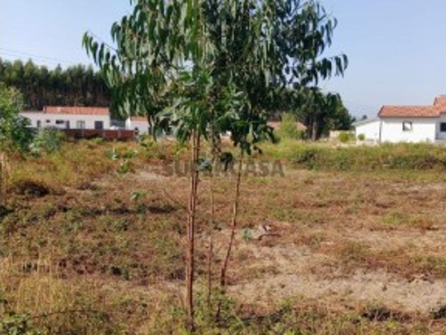 Terreno venda em Rio Maior, Santarém