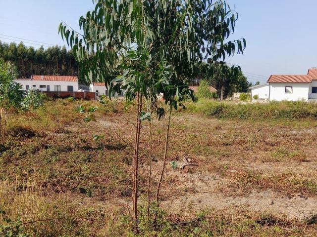 Terreno venda em Rio Maior, Santarém