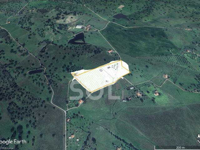 Terreno venda em Ourique, Beja
