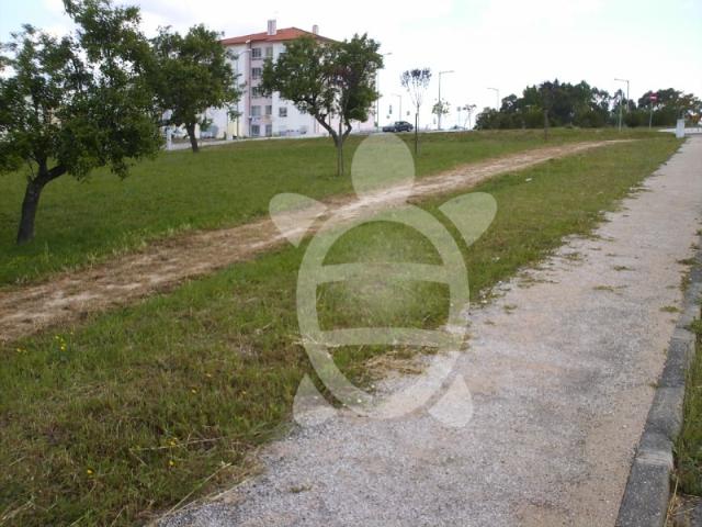 Terreno venda em Coimbrã, Coimbra