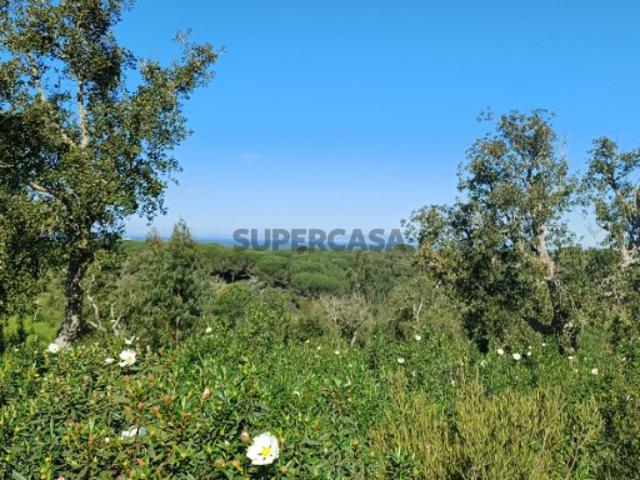 Terreno venda em Grândola, Setúbal