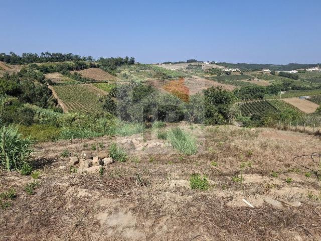 Terreno venda em Caldas Da Rainha, Leiria