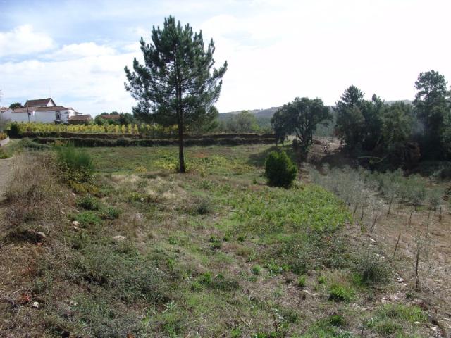 Terreno venda em Vila Real