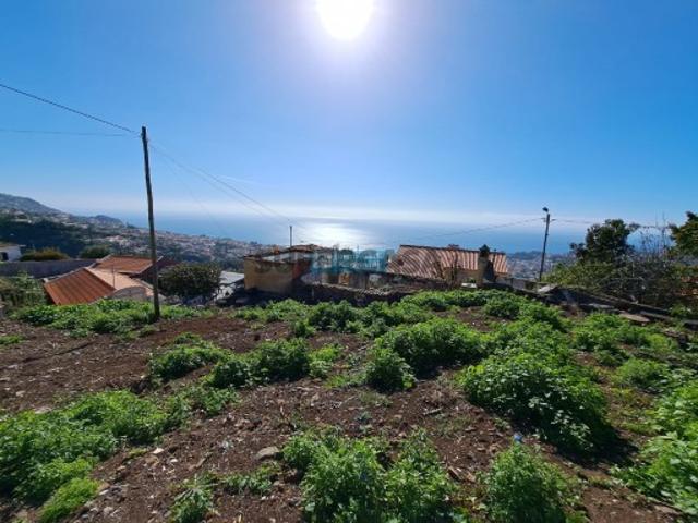 Terreno venda em Salão, Funchal