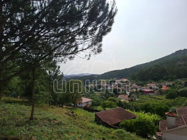 Terreno venda em Viana Do Castelo