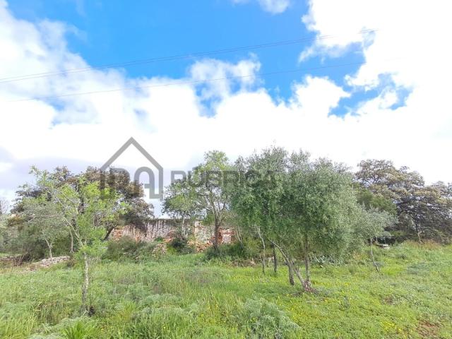 Terreno venda em Goldra, Loulé