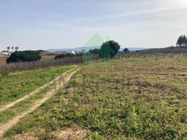 Terreno venda em Moita Dos Ferreiros