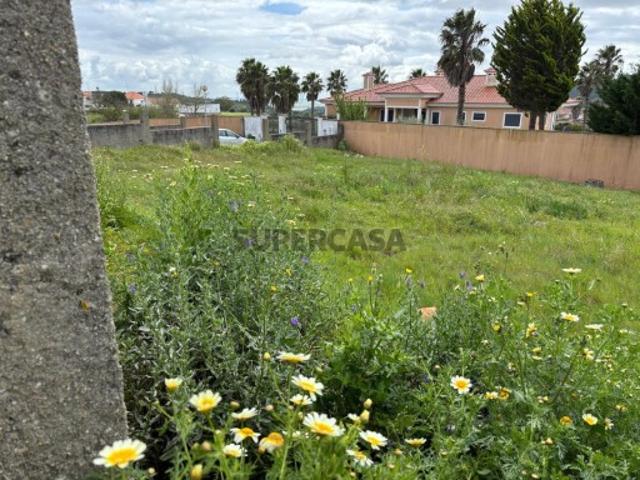 Terreno venda em A-dos-Loucos, Calhandriz
