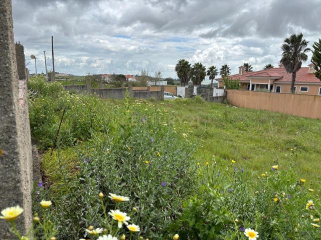 Terreno venda em A-dos-Loucos, Calhandriz