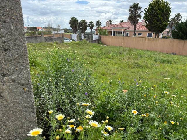 Terreno venda em A-dos-Loucos, Calhandriz