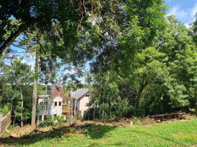 Terreno venda em Região Geográfica Imediata de Caxias do Sul, Canela