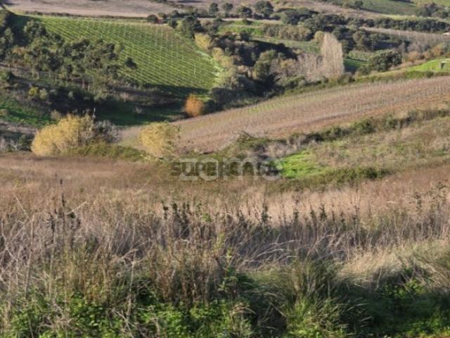 Terreno venda em Cadriceira, Torres Vedras