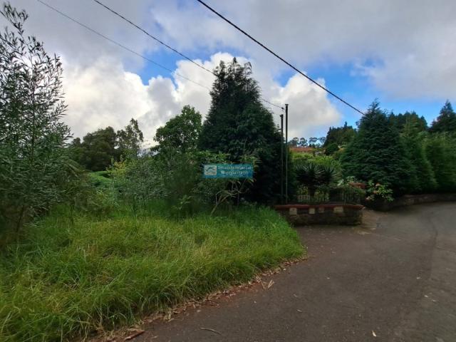 Terreno venda em Santo António da Serra, Machico