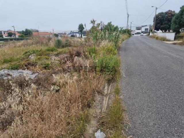Terreno venda em Bolelas, Sintra