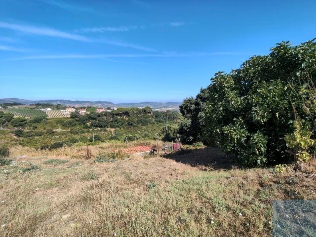 Terreno venda em Arruda Dos Vinhos, Lisboa