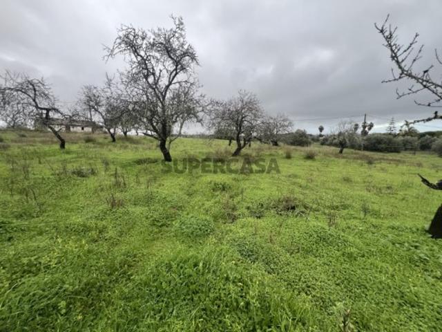 Terreno venda em Lagoa, Faro