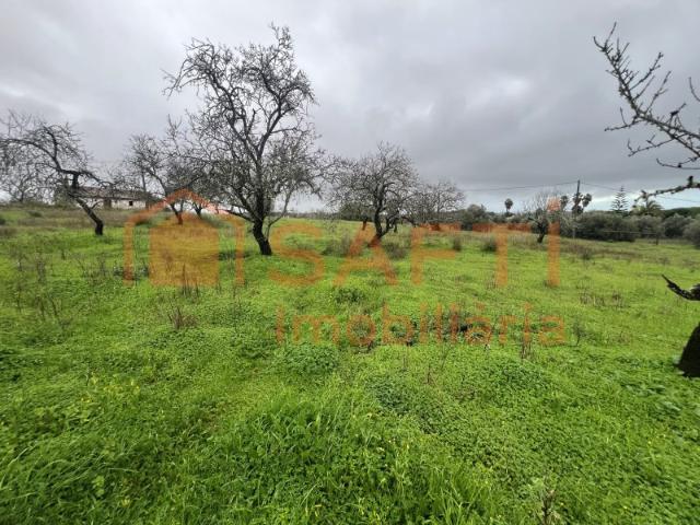 Terreno venda em Lagoa, Faro