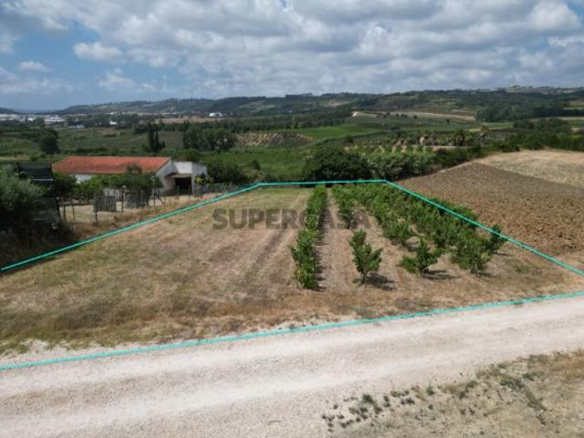 Terreno venda em Sobral do Parelhão, Bombarral