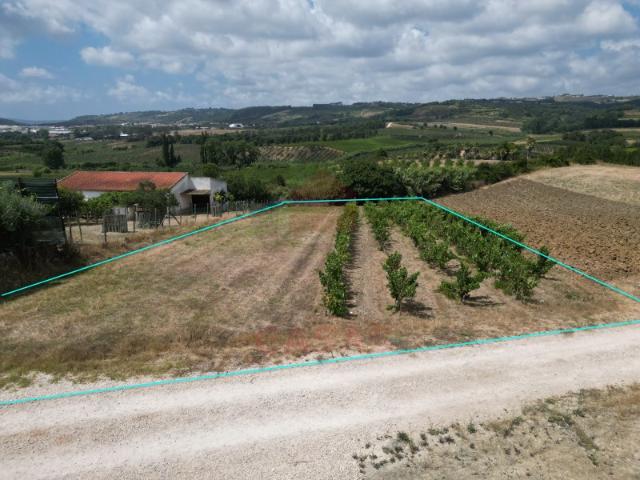 Terreno venda em Sobral do Parelhão, Bombarral