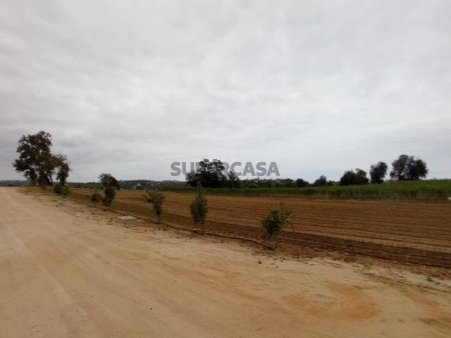 Terreno venda em Albufeira, Faro