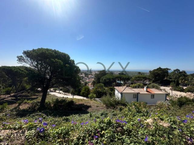 Terreno venda em Alcabideche