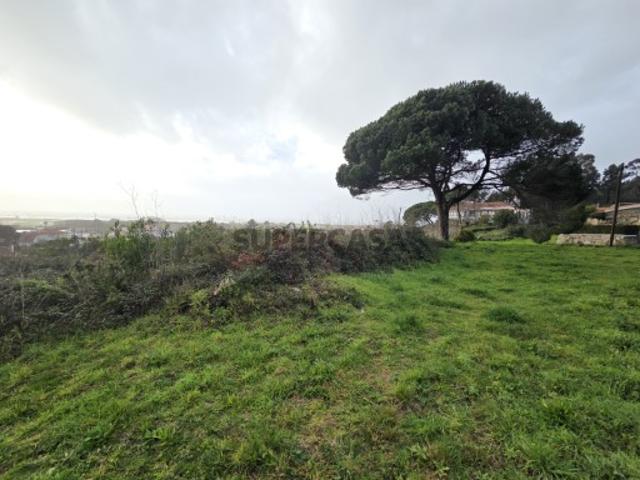 Terreno venda em Viana Do Castelo