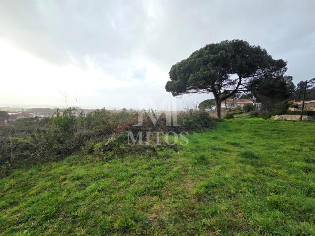 Terreno venda em Areosa, Viana Do Castelo