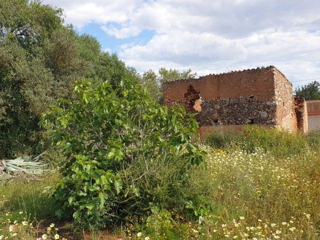 Terreno venda em Silves, Faro