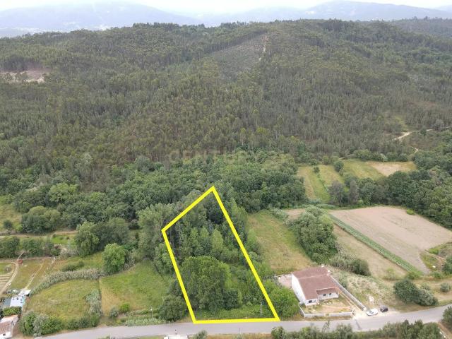 Terreno venda em Lata, Miranda Do Corvo