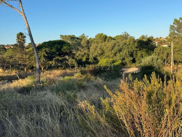 Terreno venda em Birre, Cascais