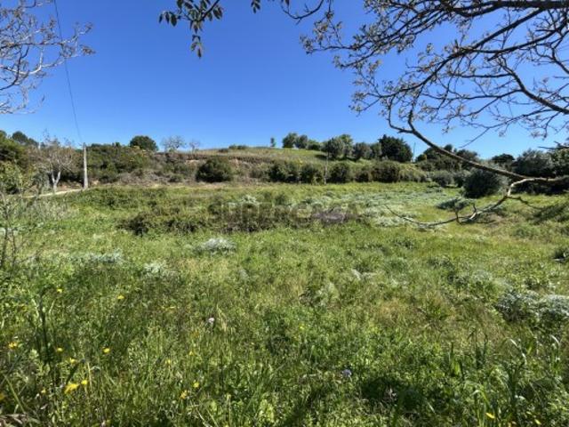 Terreno venda em Madalena e Beselga, Tomar