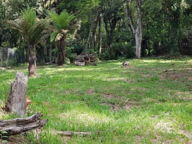 Terreno venda em Região Geográfica Imediata de Caxias do Sul, Canela