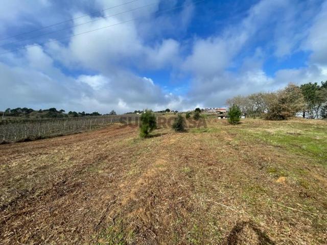 Terreno venda em Caldas Da Rainha, Leiria
