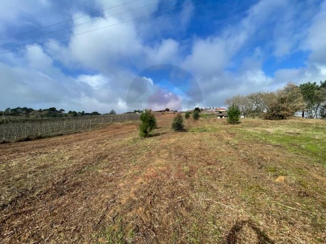 Terreno venda em Caldas Da Rainha, Leiria