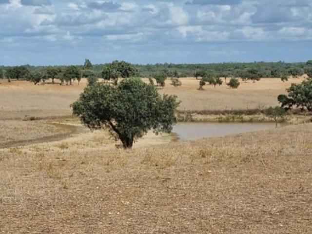 Terreno venda em Santiago Do Cacém, Setúbal