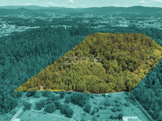 Terreno venda em Abade de Neiva, Barcelos