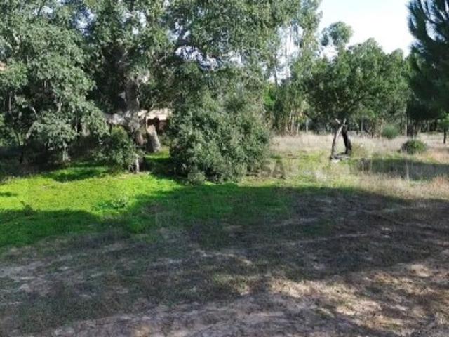 Terreno venda em Pinheiro da Chave, Grândola