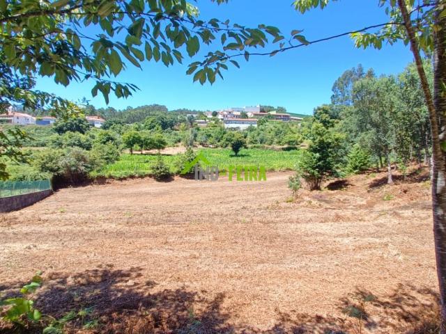 Terreno venda em Vale De Cambra, Aveiro