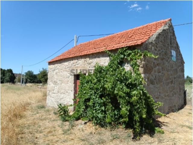 Terreno venda em Castelo Branco, Inguias