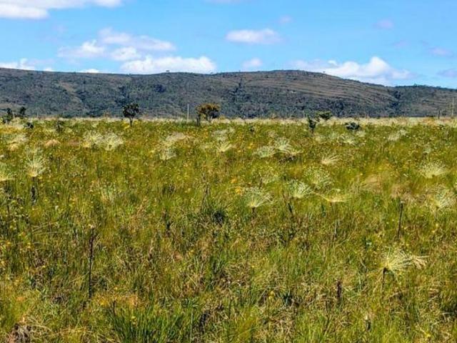 Sítio e chácara venda em Região Geográfica Imediata de Flores de Goiás, Alto Paraíso de Goiás