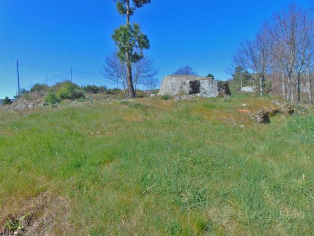 Terreno venda em Lamego, Viseu