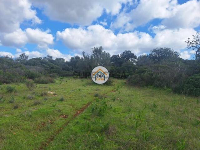 Terreno venda em Faro