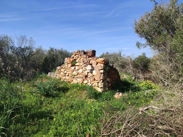 Terreno venda em Vila Do Bispo, Faro
