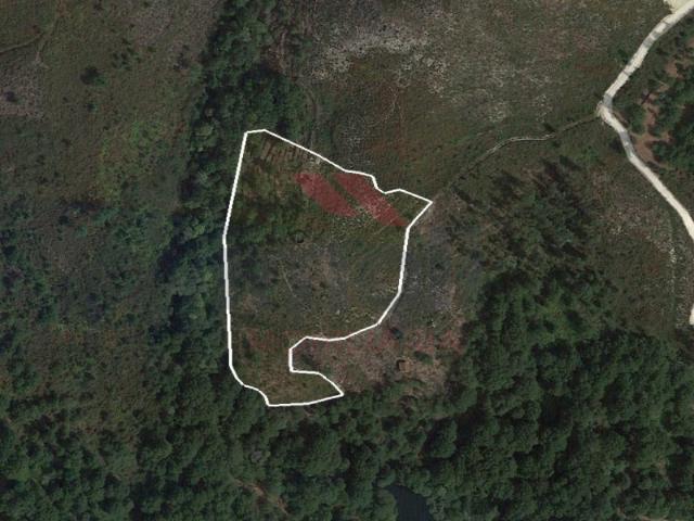 Terreno venda em Arcos De Valdevez, Viana Do Castelo