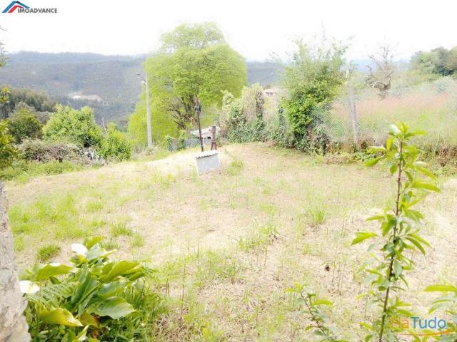 Terreno venda em Penacova, Coimbra