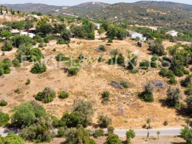 Terreno venda em Paderne