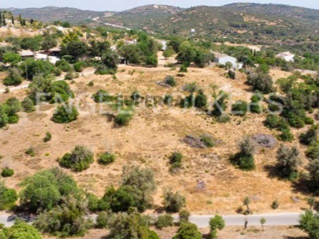Terreno venda em Albufeira, Faro