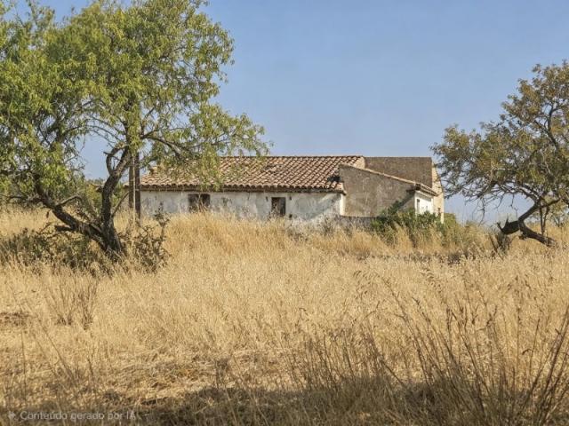 Terreno venda em Lagoa, Faro